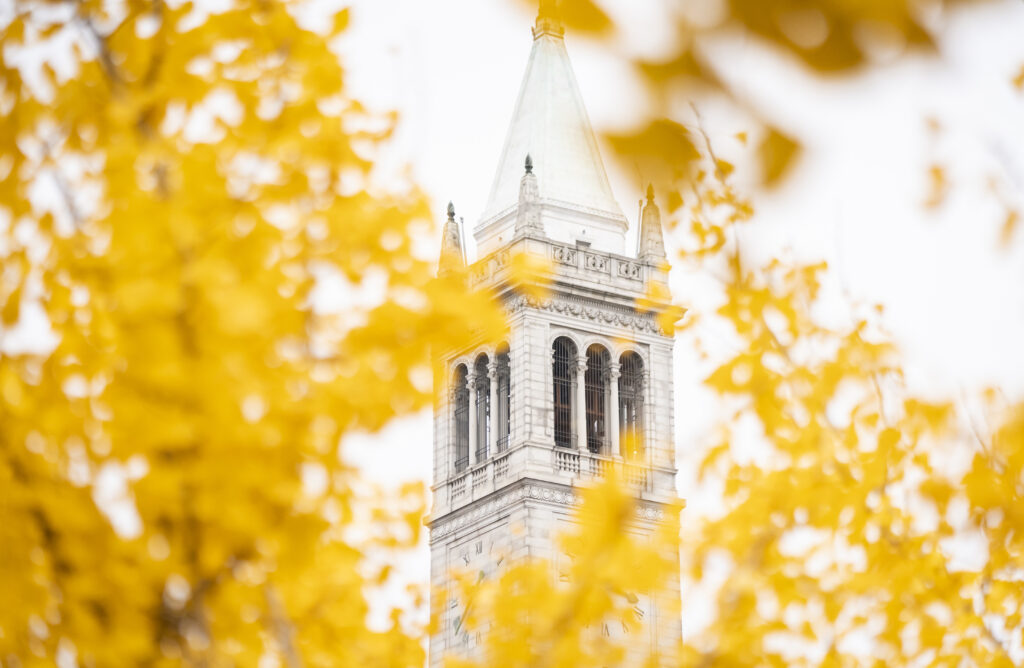 The Campanile is seen through fall foliage from Hearst Mining Circle in Berkeley, Calif. on Friday, Dec. 13, 2019. (Photo by Adam Lau/Berkeley Engineering)