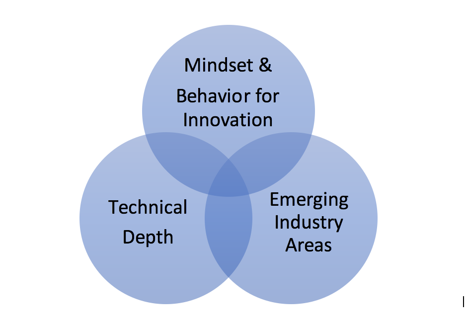Mindset, Behavior, Technical Depth, Emerging Industry Areas Venn diagram