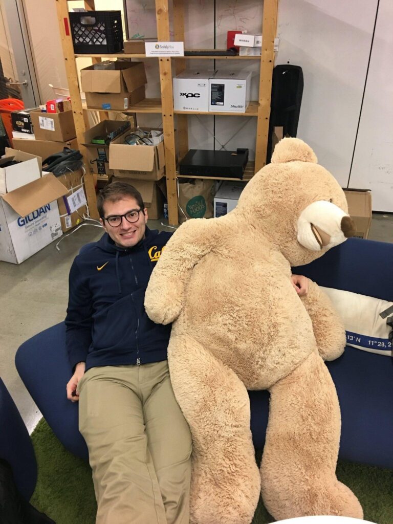 bear